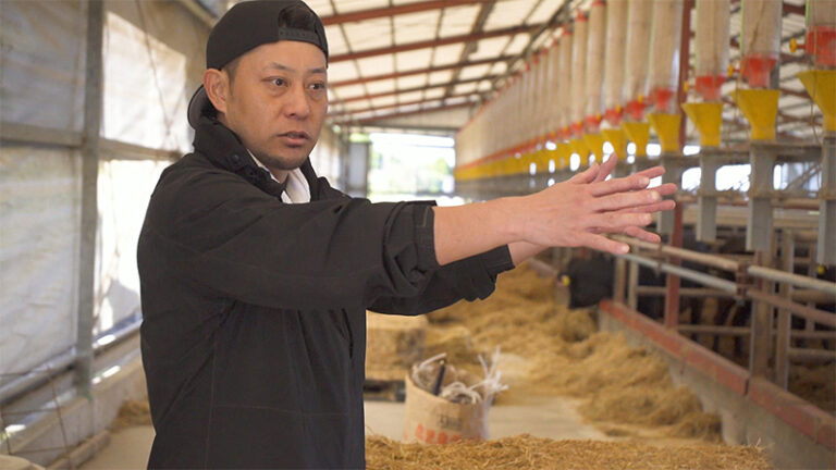 生産者に憧れた焼き肉屋が育てる「えいとまん牛」 長崎県 えいとまん牛 | 牛旅wasabee うしたびワサビィ | にっぽん全国牛旅中！