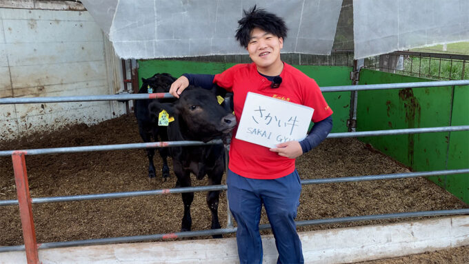 “可愛いから”始めた繁殖で、自分のブランド牛を夢見る若き牛飼い 埼玉県 さかい牛